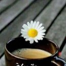 공존의 행복 이미지