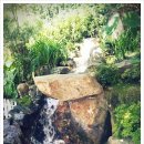 그대발길머무는곳에 이미지