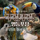 이색 데이트로 추천하는 영등포 타임스퀘어 실내 동물원 주렁주렁 ft.할인