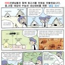 선진에듀 이미지