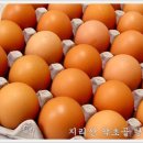 참새식품 이미지