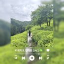 라도라도 전라도 2박3일☘️ DAY 2