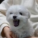 일상로그 이미지