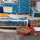 박대추민박 이미지