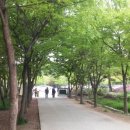 너나들이캠핑장 이미지