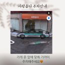 사랑옵다 | 중랑구 애견미용실 추천 "사랑옵다"