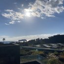 제주에산다면 이미지