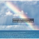 정미경 행정사 사무소 이미지