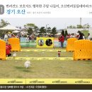 놀이터 반려견 미용실 이미지