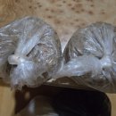 토성황토방 이미지