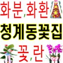 상원인테리어페인트