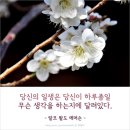 위니비니 이미지