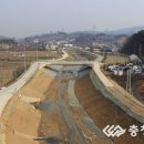 중산천 이미지