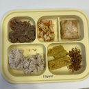 3월 / D+368~373 / 하리 친구 만나기/ 첫 글램핑 / 가족여행 / 어린이집 첫등원 / 위고비처방
