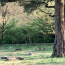 한라산신제단 이미지