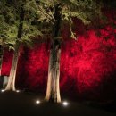 어울림 계절 맛집 이미지