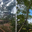 봄이 오는 길(시비 이미지