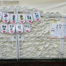 사랑숲유치원 이미지