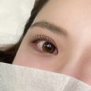 요미서울/요미래쉬/신림역눈썹/봉천역속눈썹