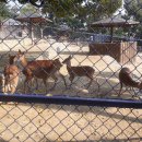 달성공원 이미지