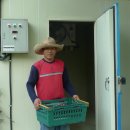 만리농장 이미지