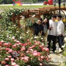 임실치즈테마파크5 이미지