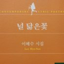 널;닮은꽃