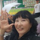 명인초 이미지