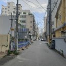 방화목장 Daum카페
