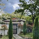 둥굴식당 이미지