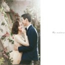 비마인스튜디오