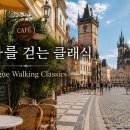 [플레이리스트] 🌙 프라하 야경 클래식 | 우아한 실내악 이미지