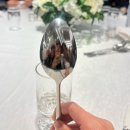 제주 영 로열스 콘서트 / 제주 더 로열스 콘서트 | 대충 알고 좋아하고 다 알고 싫어하자