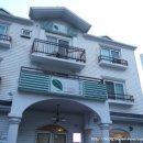 풀잎속의생명 이미지