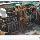 완도화목식품 이미지