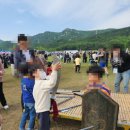 왕실 | 아이들과 함께 가기 좋은 전통 축제｜양주 회암사지 왕실축제 후기