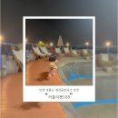 러블리펫108 이미지