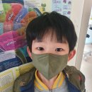 블루키위