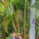 CP커플국제결혼 이미지