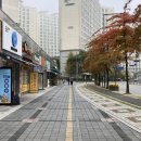 영스오븐