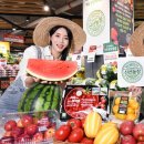 플러스농장2 이미지