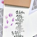 마음을 담은 붓펜 캘리그라피 네이버블로그