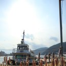 솔방솔방 이미지