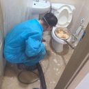 춘천싱크대막힘변기막힘 이미지