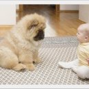 장인공인중개사 이미지