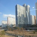 그리다헤어디자인 퍼플점