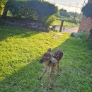 광개토농장 이미지