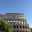 소방서 옆 새희망공원 | 콜로세움 포로로마노 팔라티노 언덕 공홈 예약 및 관람 후기(+로마패스 무료입장)