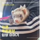 동물보육원 안산지부 | 라쿤무료분양, 특별한 가족이 되었습니다 (안산동물보육원 라쿤입양 후기)