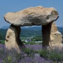 윤정 농장 이미지